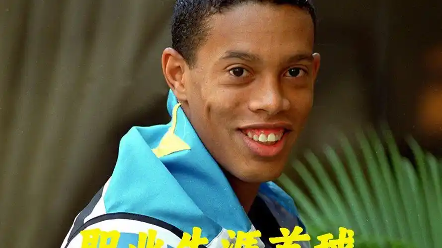 伴提供了更
