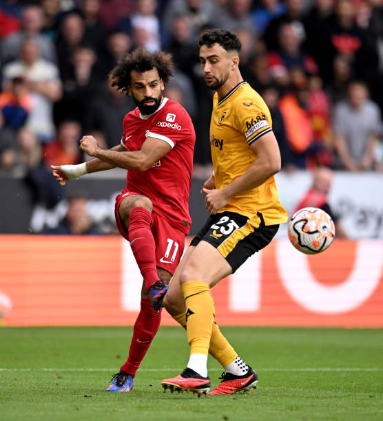 仅展示了不 仅展示了不