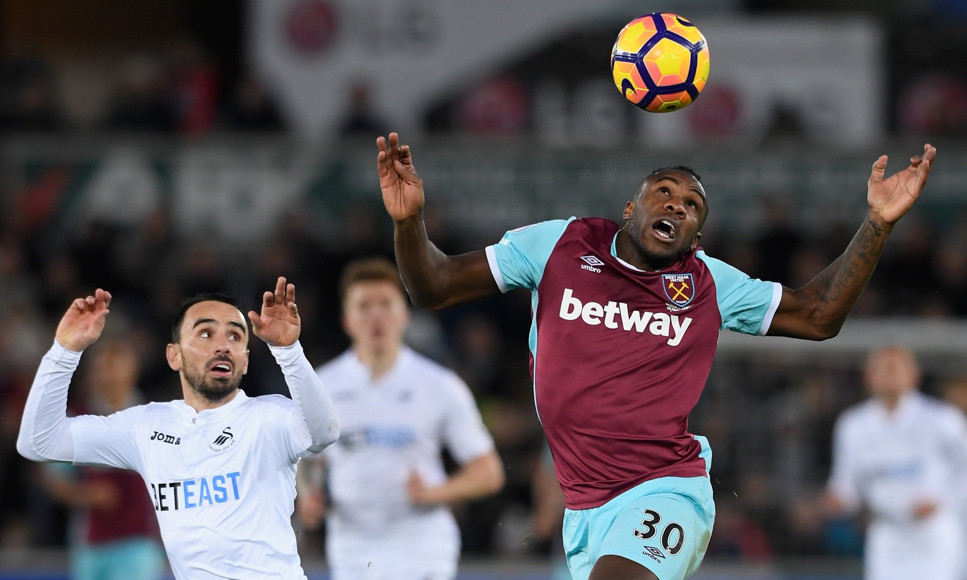 获了一粒安 获了一粒安